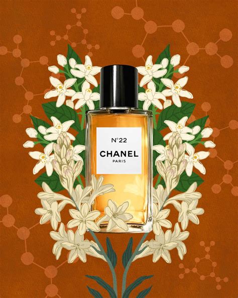 chanel perfume 1922